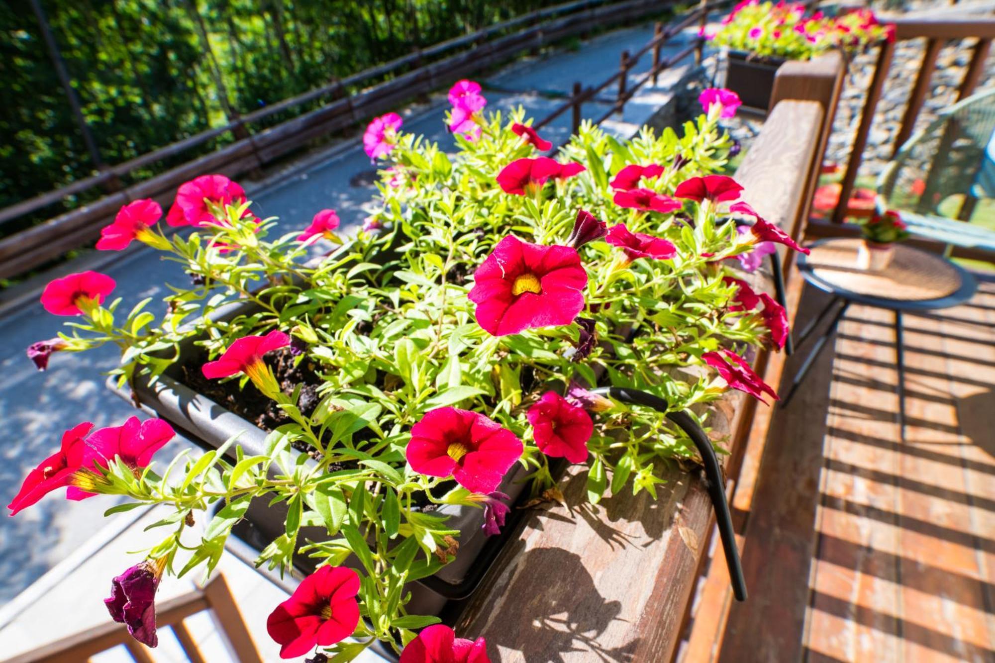 Achillea Apartment Rhemes-Saint-Georges Luaran gambar
