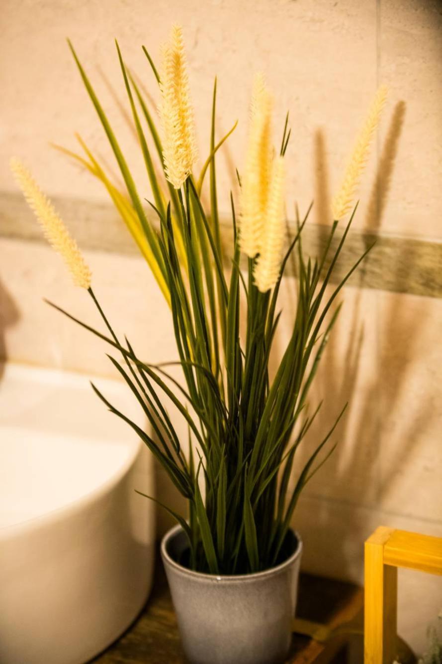 Achillea Apartment Rhemes-Saint-Georges Luaran gambar
